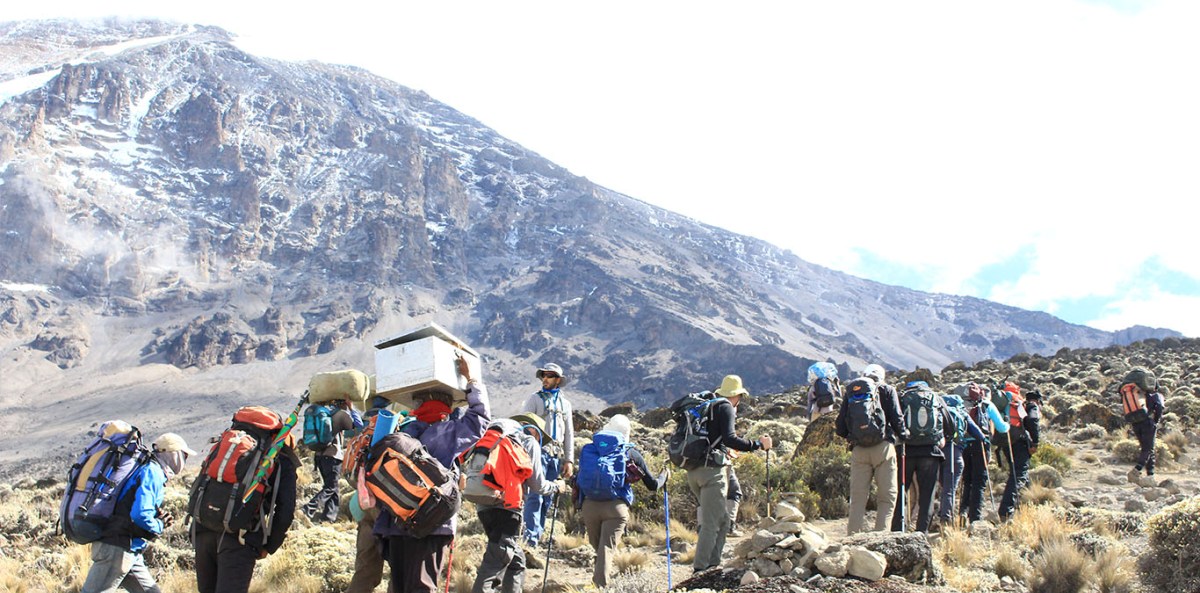 Mount Kilimanjaro Marangu Climbing Route - Image - 2812